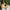 MYNuDay360™ Sharp Focus (Australia)